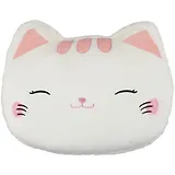 Подушка мордочка Кошки (текстиль) (40х40) (12-01009-0289463)