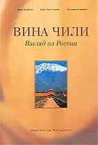 Вина Чили. Взгляд из России