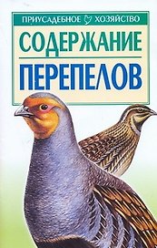 Содержание перепелов