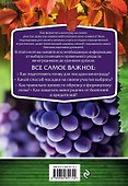 Виноградник. Секреты для любого региона - 1