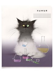 Тетрадь предметная «Кот учёный. Химия» 48 листов в клетку, со справочными материалами - Be positive
