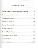 Кёсем Султан. Новая загадка Великолепного века - 1