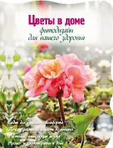 Цветы в доме. Фитодизайн для вашего здоровья.