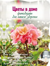 Цветы в доме. Фитодизайн для вашего здоровья.