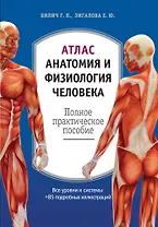 Атлас: анатомия и физиология человека: полное практическое пособие