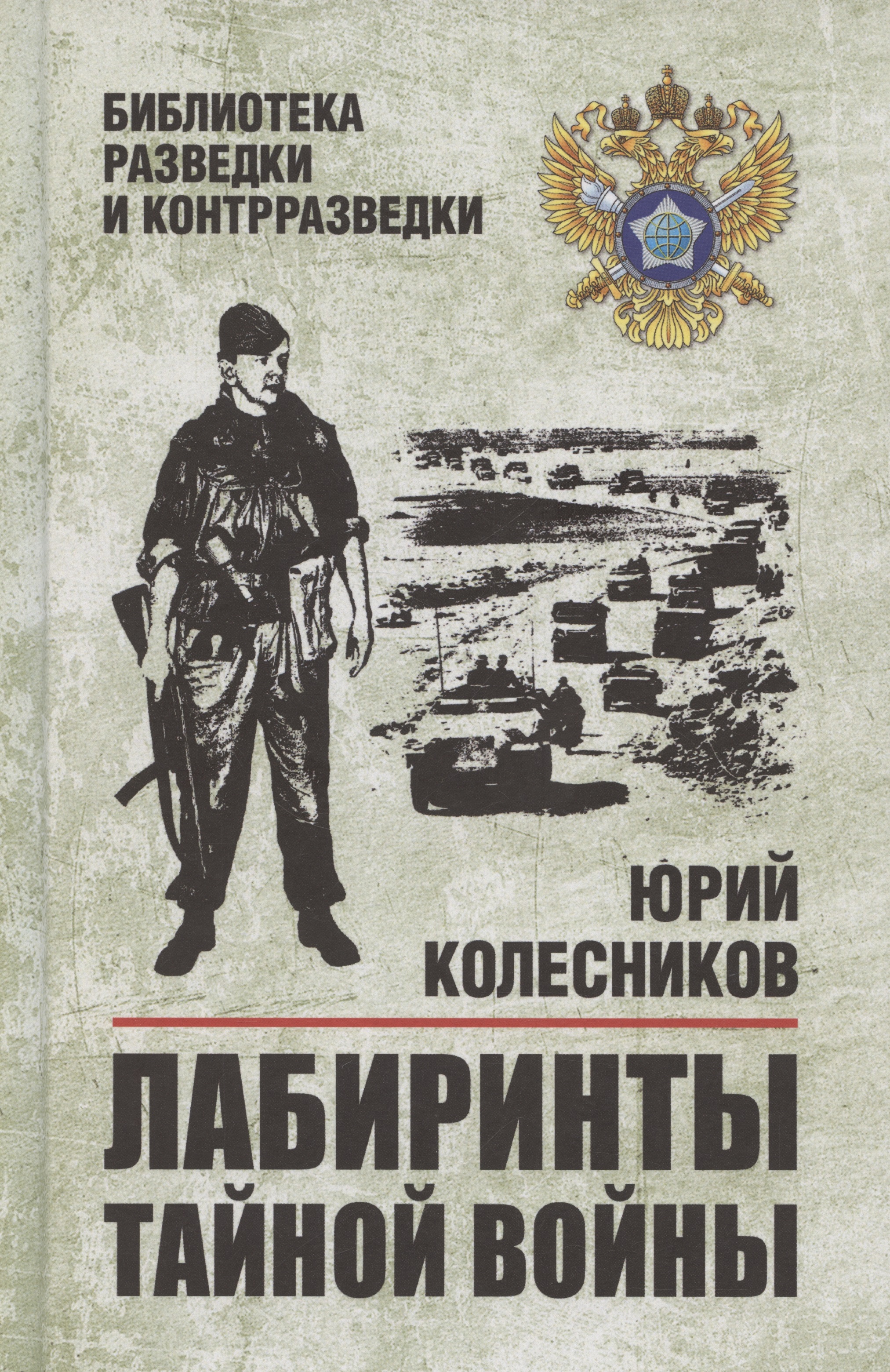 Обложка книги «Лабиринты тайной войны (12+)»