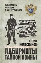 Лабиринты тайной войны (12+)