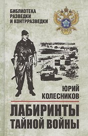 Лабиринты тайной войны (12+)