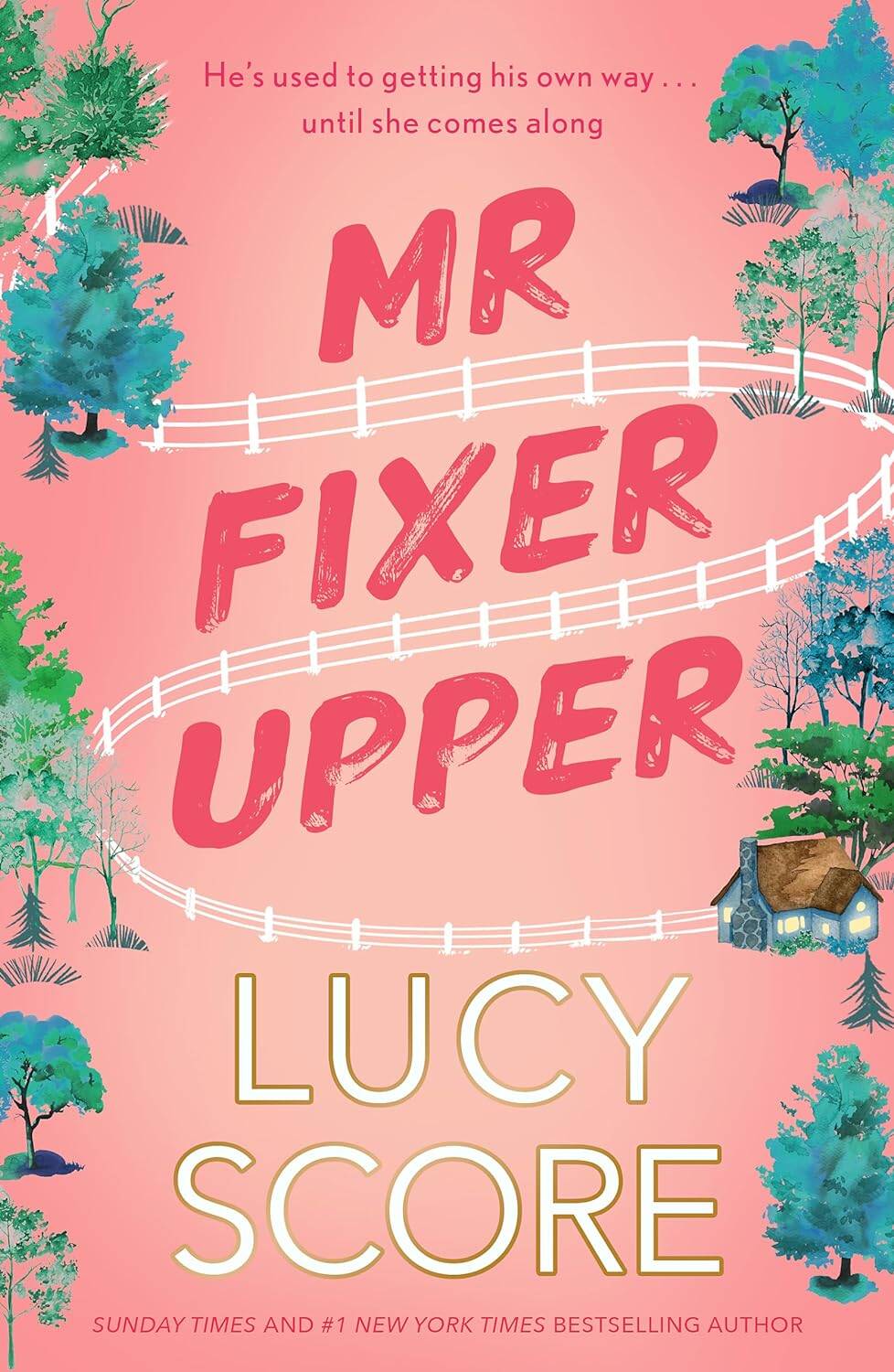 Обложка книги «Mr. Fixer Upper»