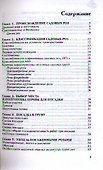 Розы в открытом грунте: посадка, уход, размножение - 1