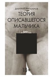 Теория описавшегося мальчика: роман