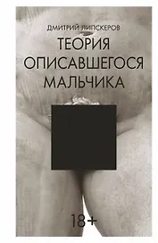 Теория описавшегося мальчика: роман