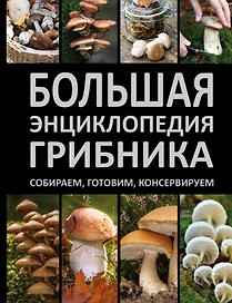 Большая энциклопедия грибника. Собираем, готовим, консервируем.