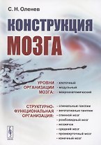 Конструкция мозга