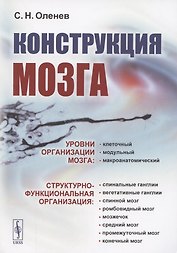 Конструкция мозга
