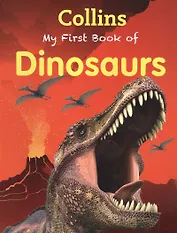My First Book Of Dinosaurs