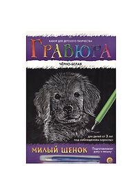 Набор для творчества РЫЖИЙ КОТ Гравюра А4 в конверте Радуга Серебро Черно-белая Милый щенок Г-477