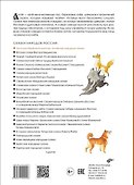 Лисичка в берёзовой шапочке. Алтайские народные сказки - 1