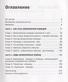 Команда мечты: беспроигрышная стратегия в бизнесе - 1