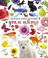 Большая книга малыша. Учим цвета
