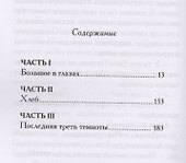 Последняя треть темноты: роман - 1