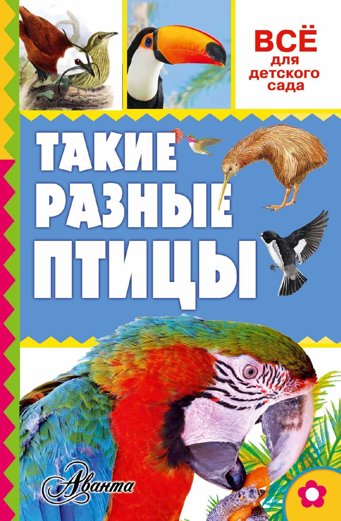 

Такие разные птицы