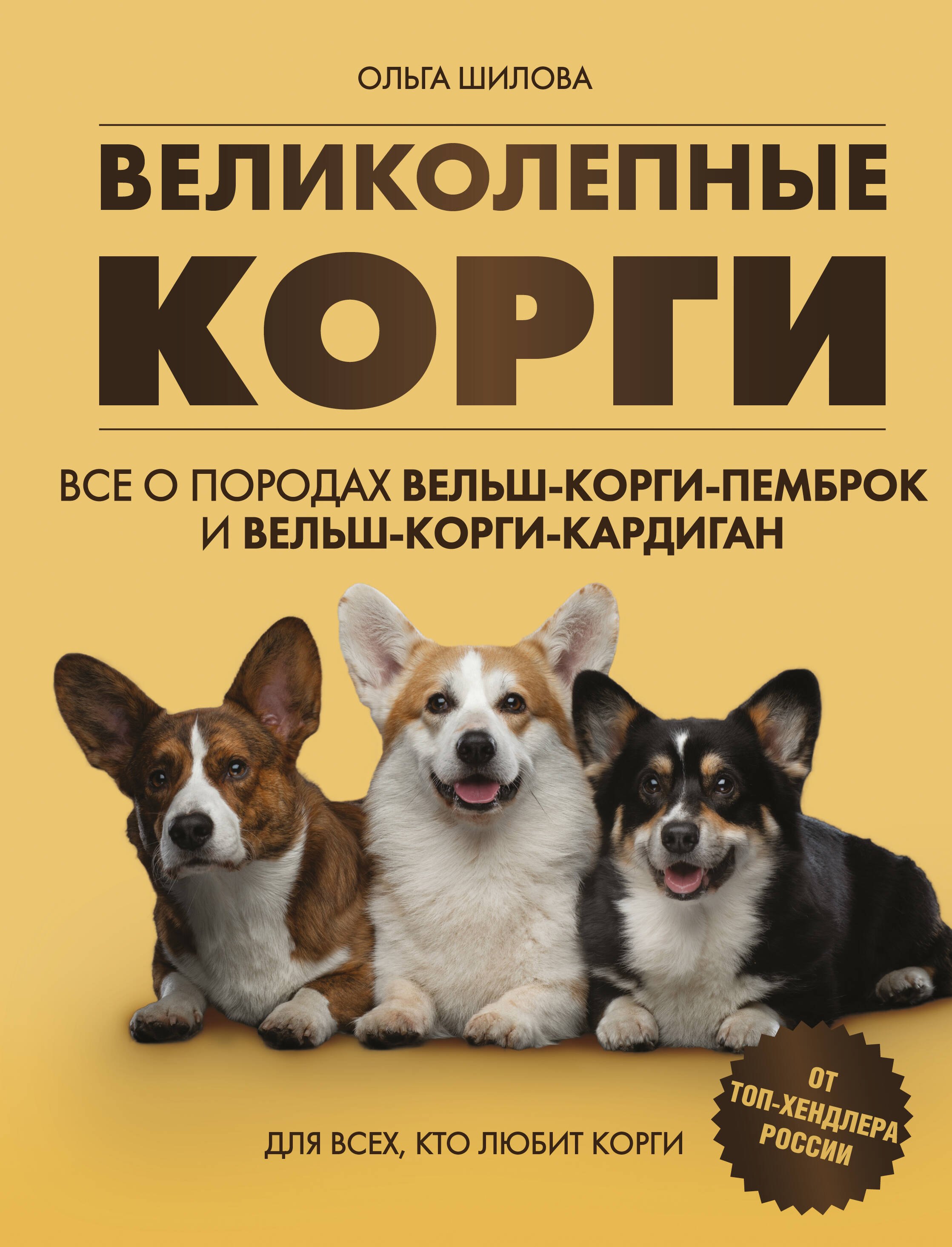 

Великолепные корги. Все о породах вельш-корги-пемброк и вельш-корги-кардиган