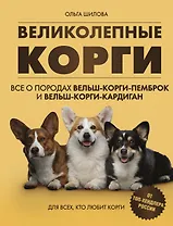 Великолепные корги. Все о породах вельш-корги-пемброк и вельш-корги-кардиган