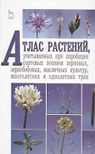 Атлас растений, учитываемых при апробации сортовых посевов зерновых, зернобобовых, масличных культур - 0