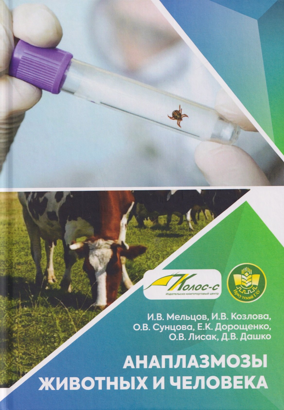 

Анаплазмозы животных и человека