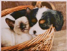 Алмазная мозаика ТМ Рыжий кот (класс.) 40х50см (25цв.)  Щеночек в корзине AC4062
