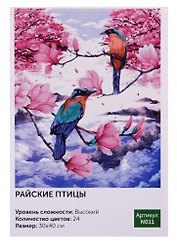 Картина по номерам N011 Райские птицы 30х40