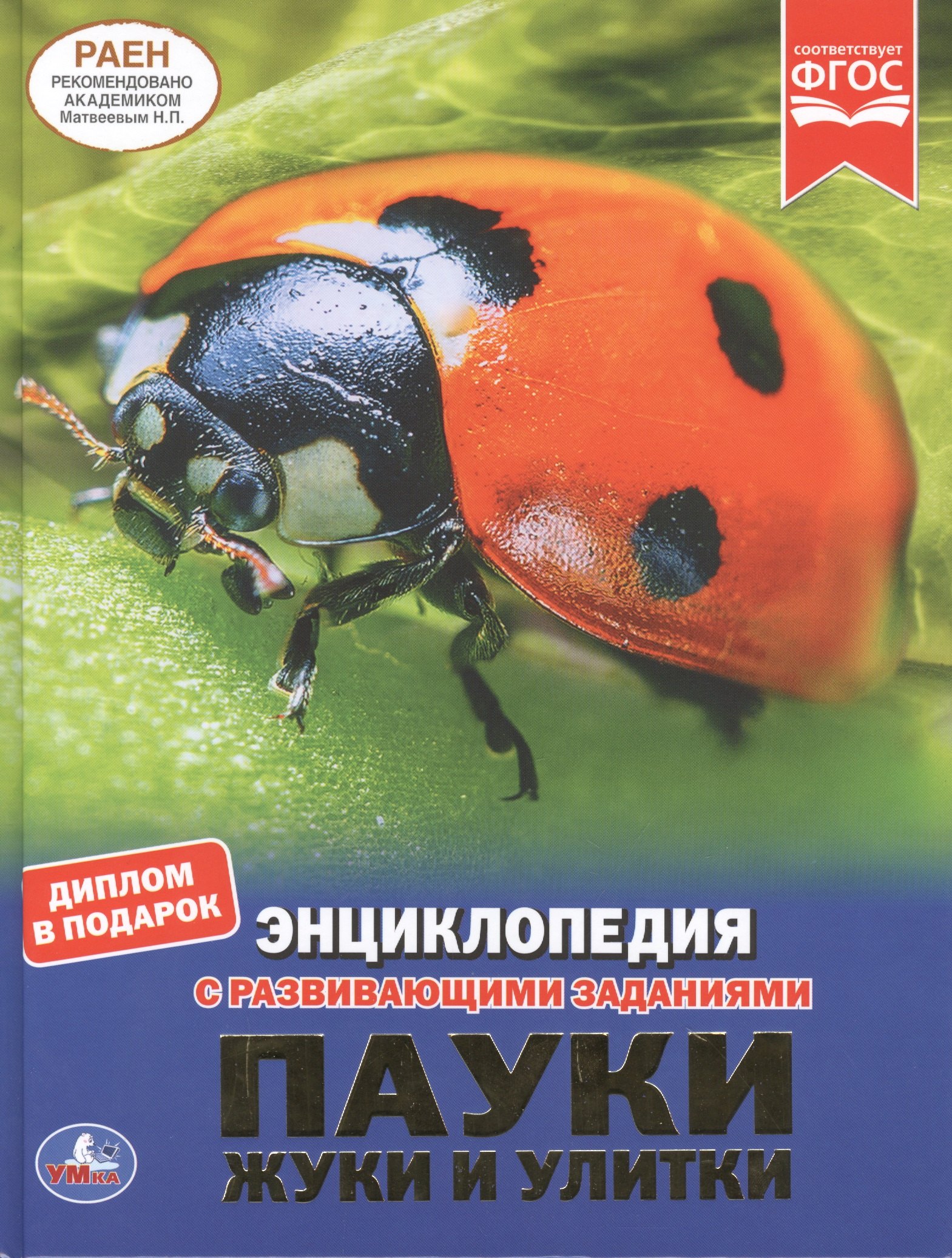 

Пауки, жуки и улитки. Энциклопедия с развивающими заданиями