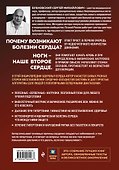 Активные мышцы: ключ к восстановлению сердца - 1