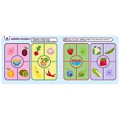 Овощи и фрукты. Книга с липучками - 2