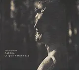 Патина. Старый Летний сад