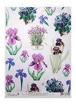 Декупажная карта Нежные ирисы А4 (DK3015) (упаковка)
