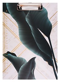 Планшет «Green leaf», А4, ламинированный картон, в индивидуальной упаковке, в ассортименте