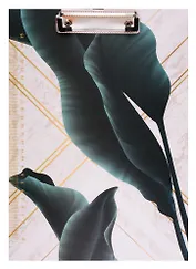 Планшет "Green leaf", А4