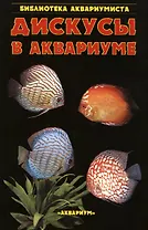 Дискусы в аквариуме