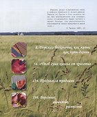 В поисках русского ковра. Книга-альбом - 1