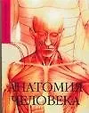 Анатомия человека: карманный справочник