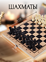 Шахматы с пластиковыми фигурами, 24 х 24 см