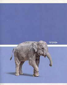 Тетрадь общая «Wild animals», 48 листов в клетку, A5, в ассортименте - Listoff