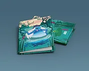 Летучий корабль. Обложка на паспорт. Водяной