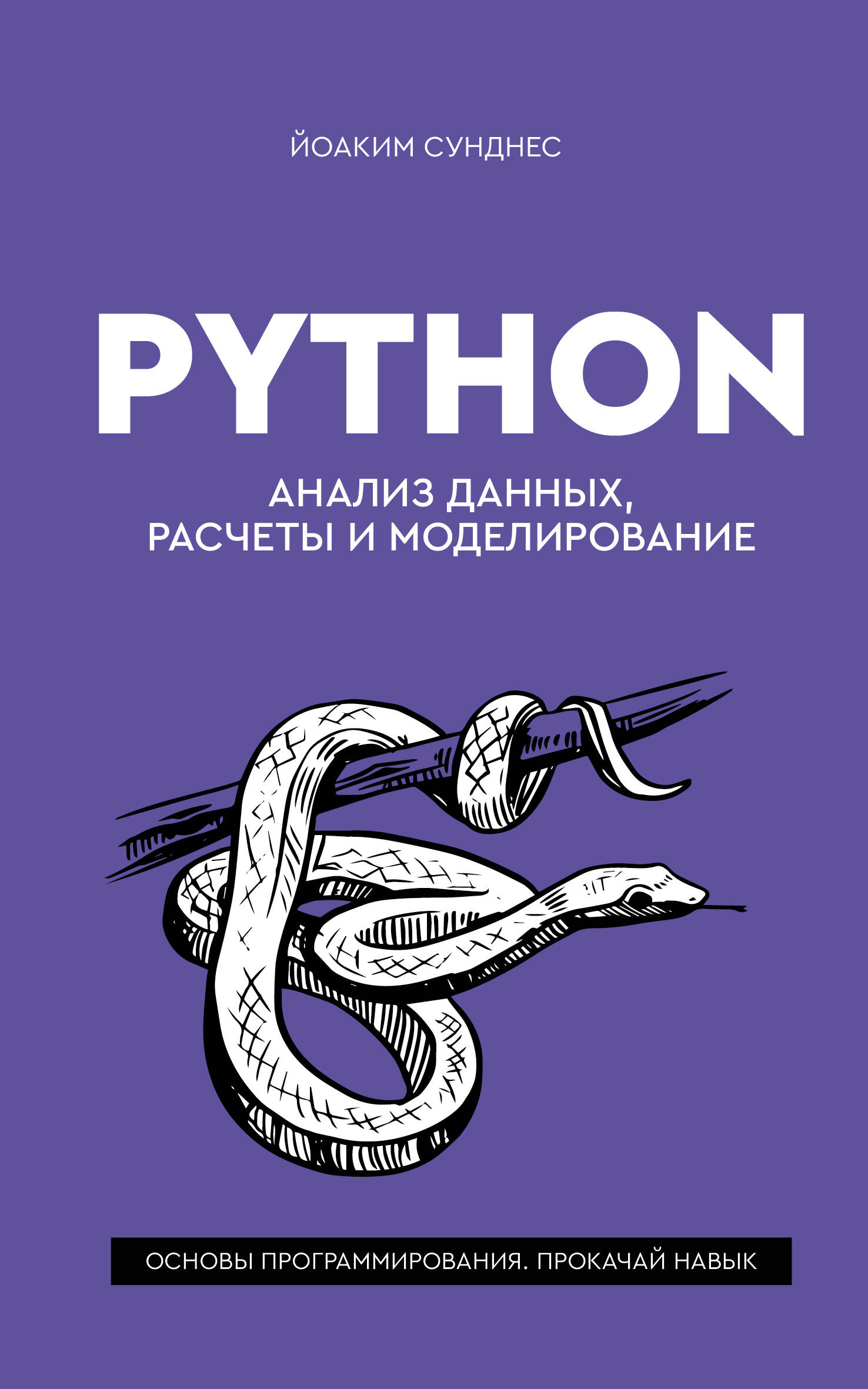 Обложка книги «Python. Анализ данных, расчеты и моделирование»