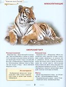 Энциклопедия для детей красная книга россии - 2