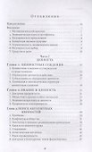 Теория и история. Интерпретация социально-экономической эволюции - 1