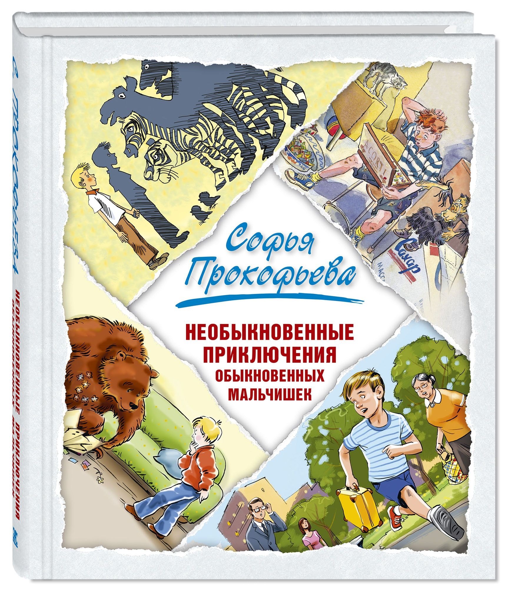 

Необыкновенные приключения обыкновенных мальчишек