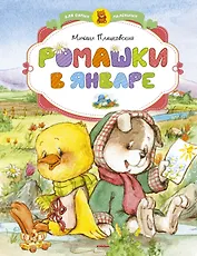 Ромашки в январе